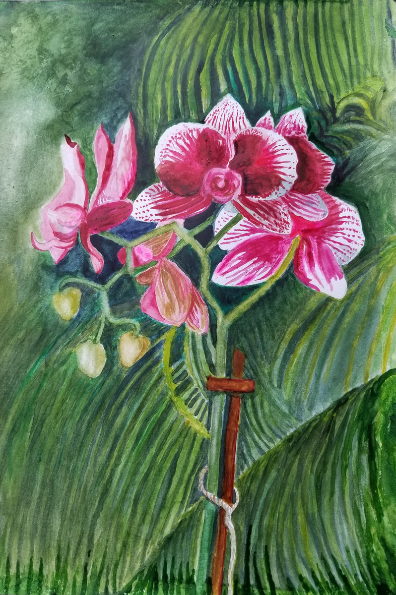Flowers of my Garden (Prints) – Sofie's Art Corner