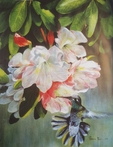 Humming Bird and Flowers (Print)
